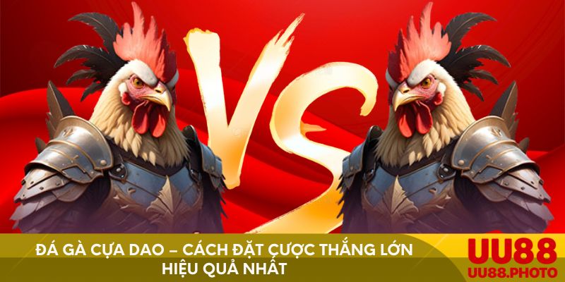 Đá Gà Cựa Dao – Cách Đặt Cược Thắng Lớn Hiệu Quả Nhất